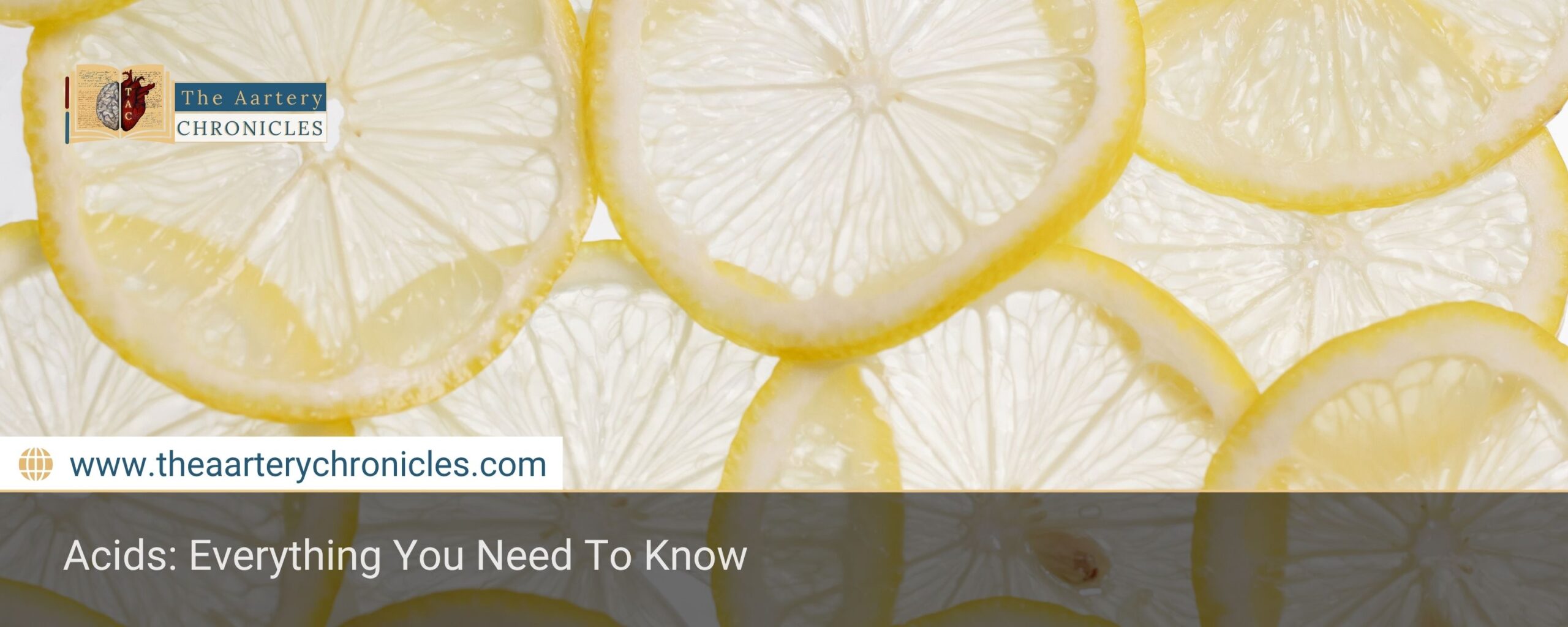 acids-everything-you-need-to-know-the-aartery-chronicles-tac