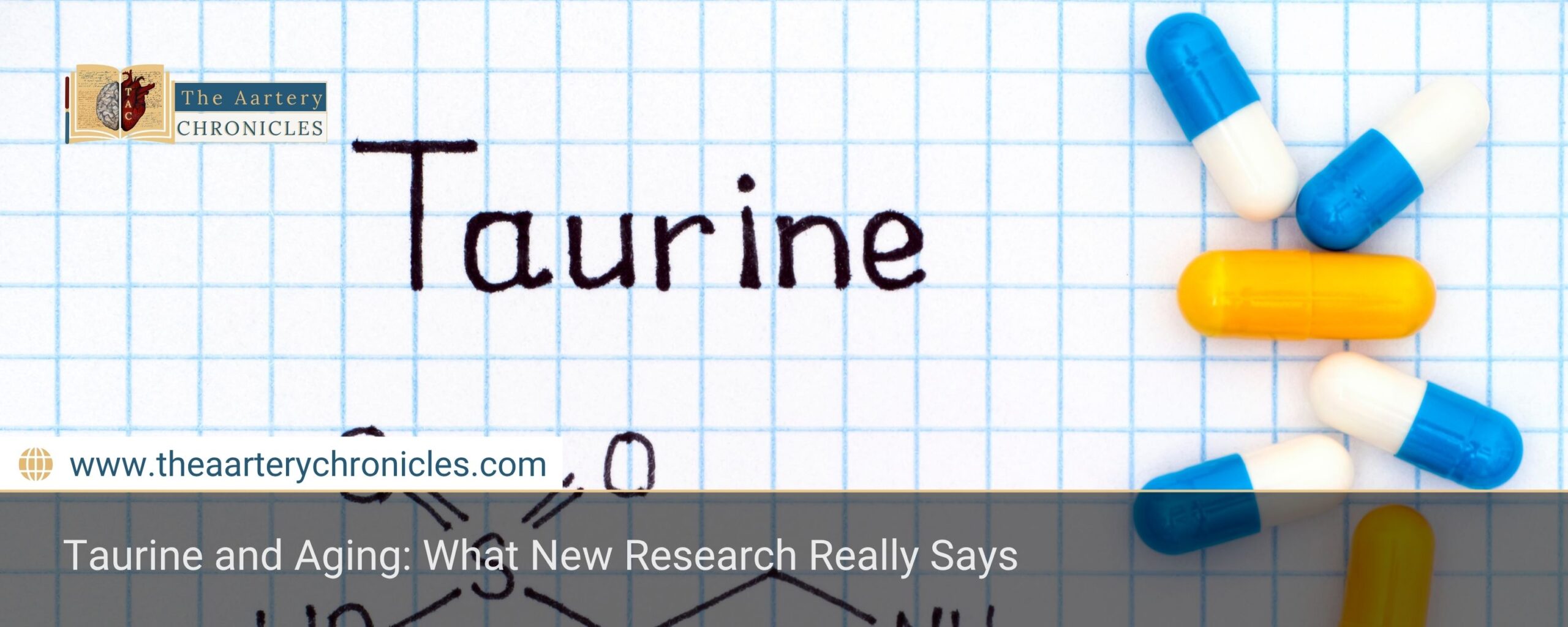 taurine-and-ageing-what-new-research-really-says-the-aartery-chronicles-tac
