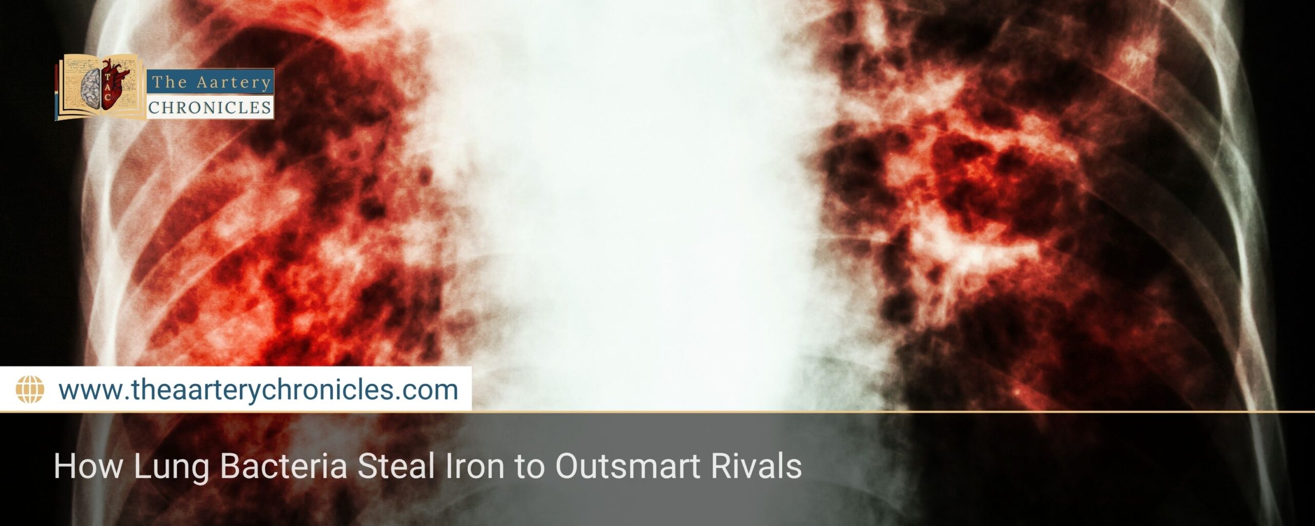how-lung-bacteria-steal-iron-to-outsmart-rivals-the-aartery-chronicles-tac