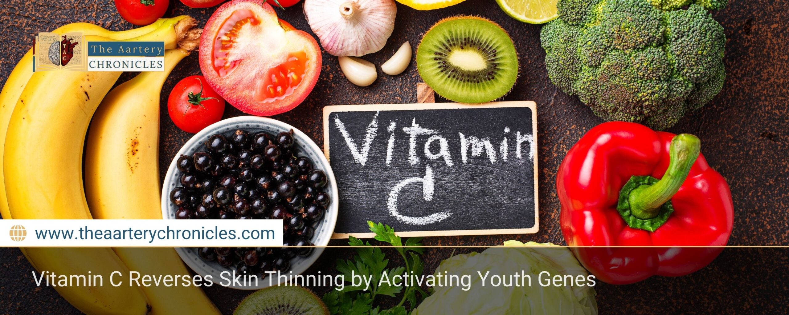 vitamin-c-reverses-skin-thinning-is-it-possible-the-aartery-chronicles-tac