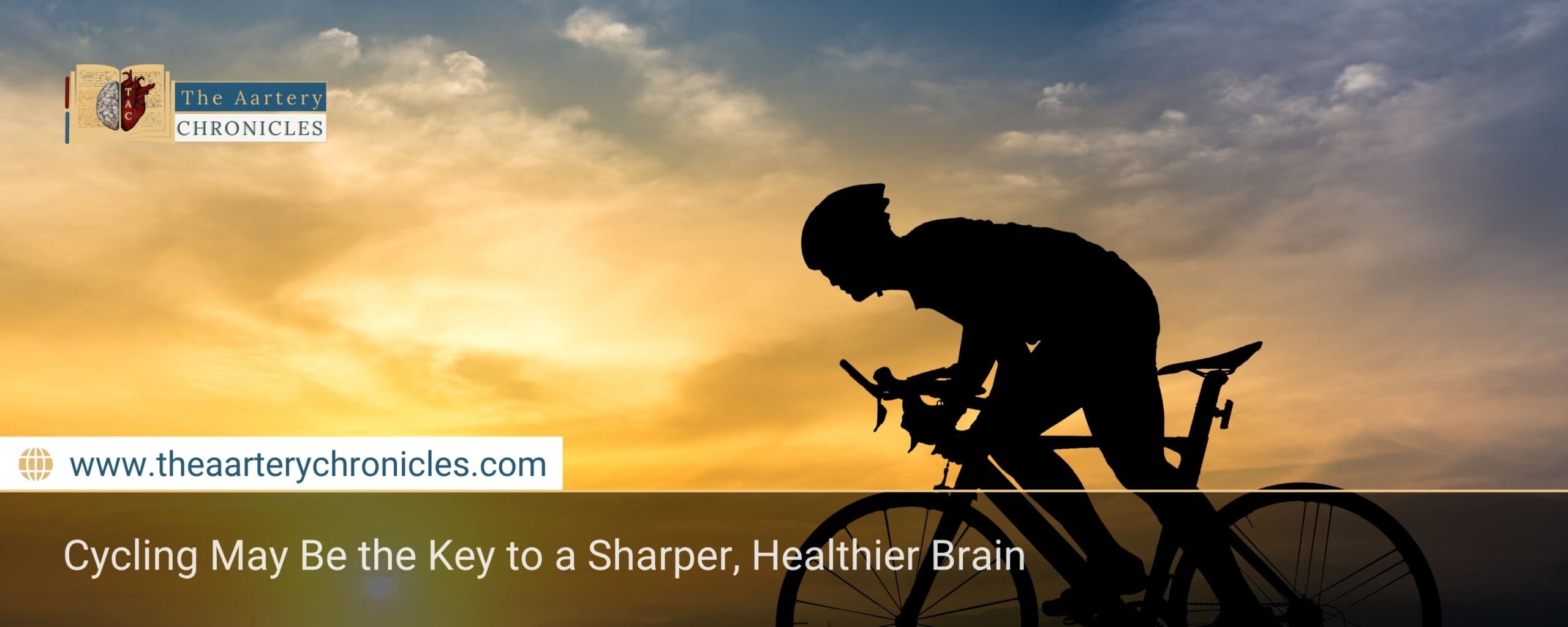 Cycling May Be the Key to a Sharper, Healthier Brain