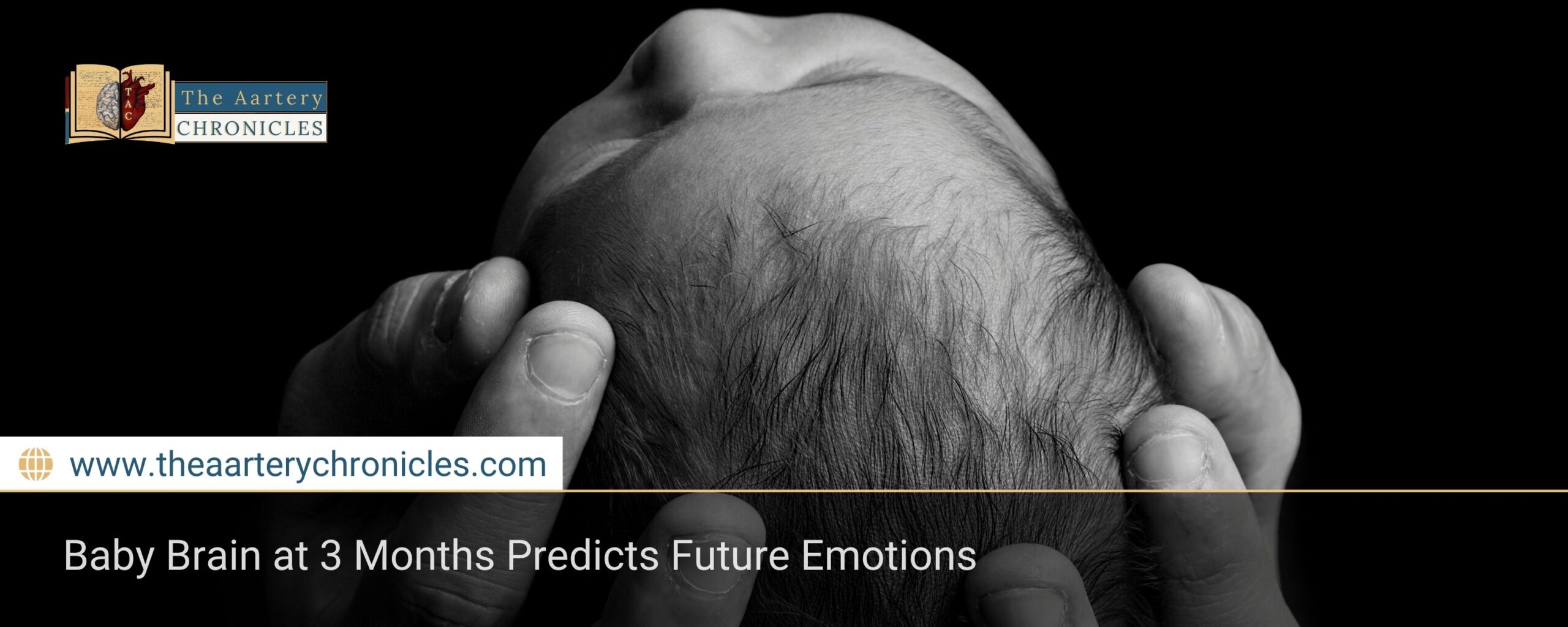Baby Brain at 3 Months Predicts Future Emotions