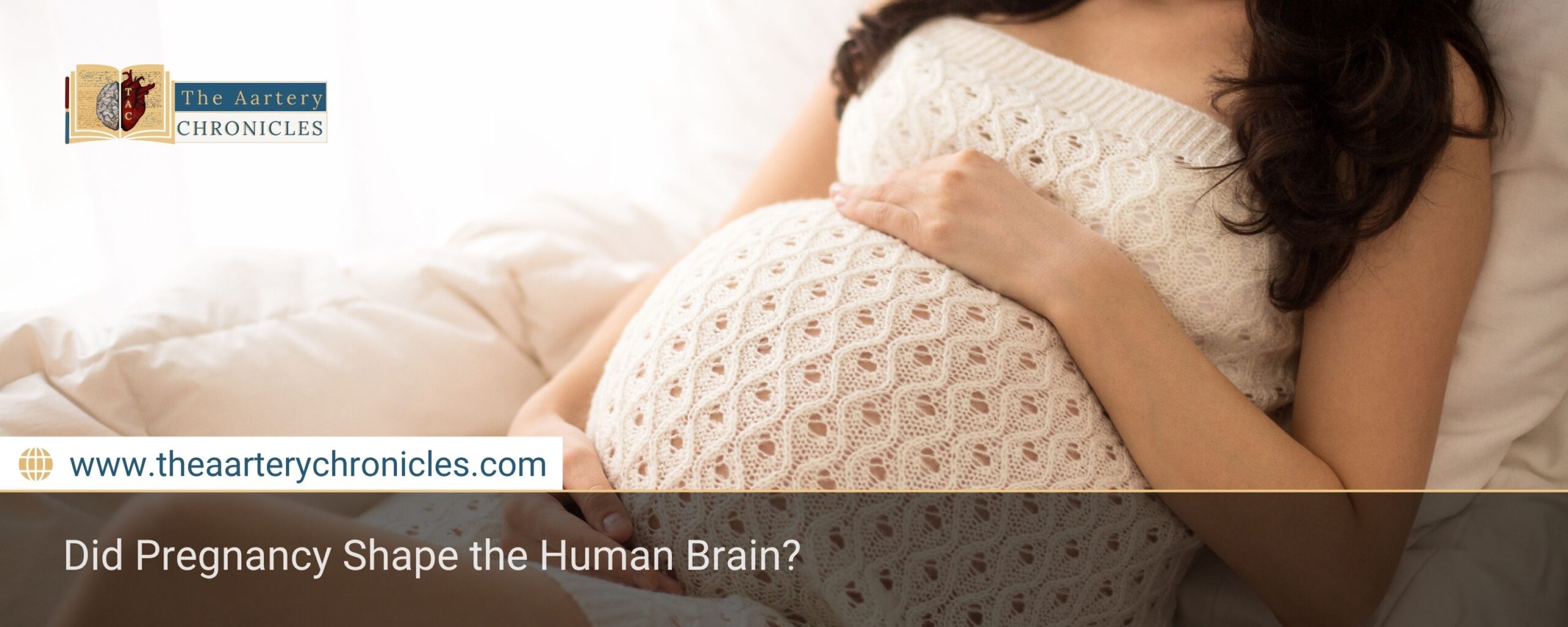 Did Pregnancy Shape the Human Brain?