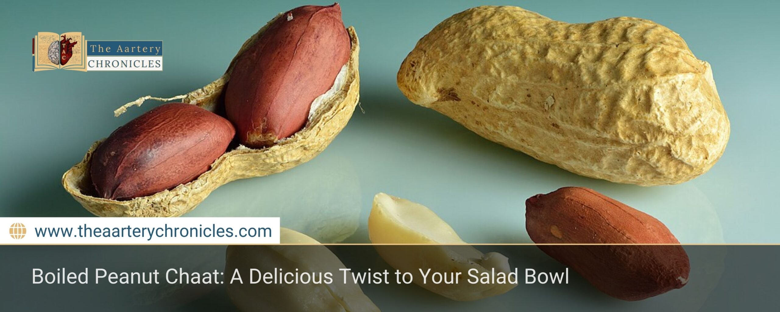 Boiled-Peanut-Chaat:-A-Delicious-Twist-to-Your-Salad-Bowl-The-Aartery-Chronicles-TAC