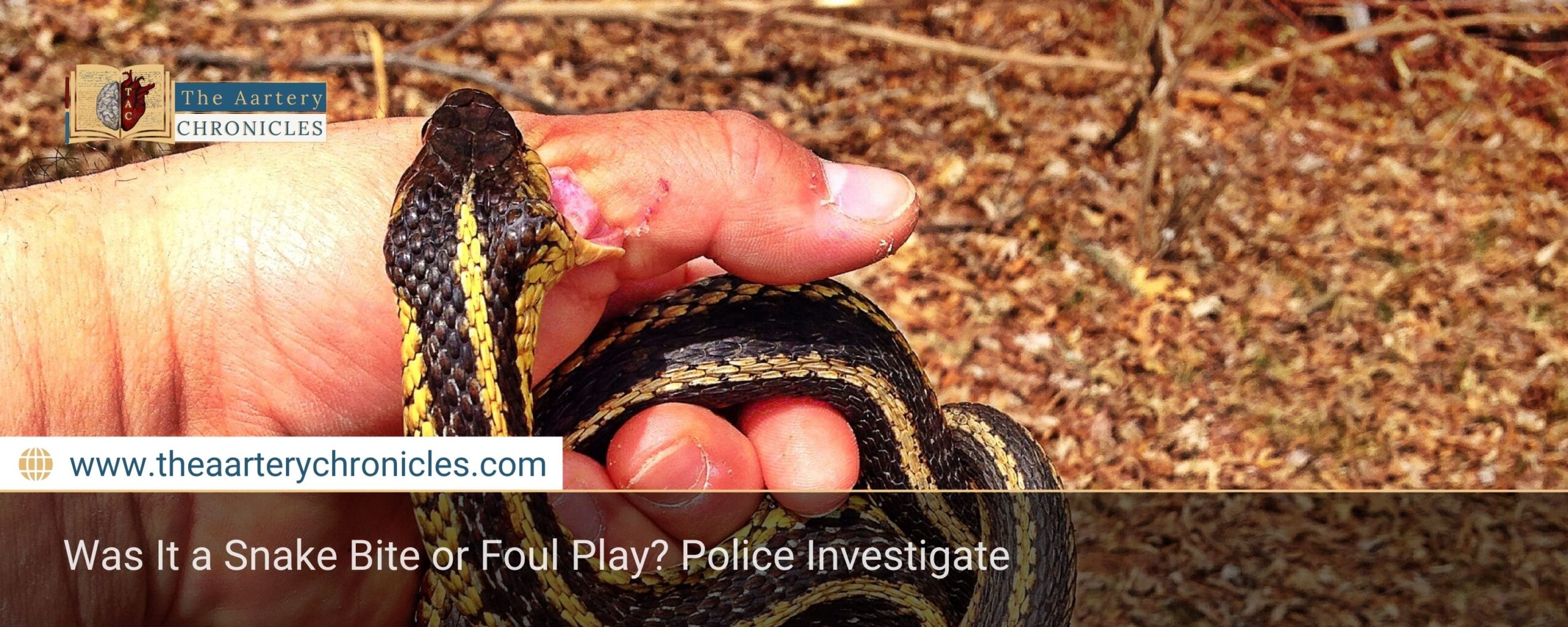 Was It a Snake Bite or Foul Play? Police Investigate