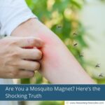 Are You a Mosquito Magnet? Here’s the Shocking Truth