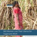 843 Women Lost Their Uterus for Sugarcane Work