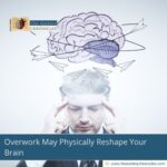 is-your-job-changing-your-brain-scientists-say-yes-the-aartery-chronicles-tac