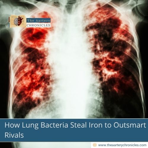 How Lung Bacteria Steal Iron to Outsmart Rivals