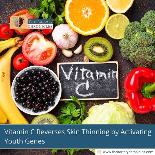 vitamin-c-reverses-skin-thinning-is-it-possible-the-aartery-chronicles-tac
