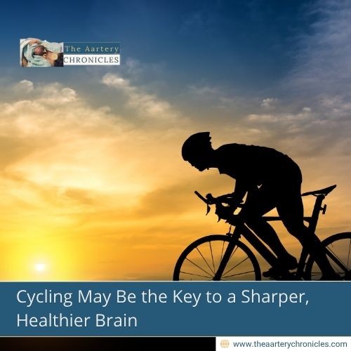 Cycling May Be the Key to a Sharper, Healthier Brain