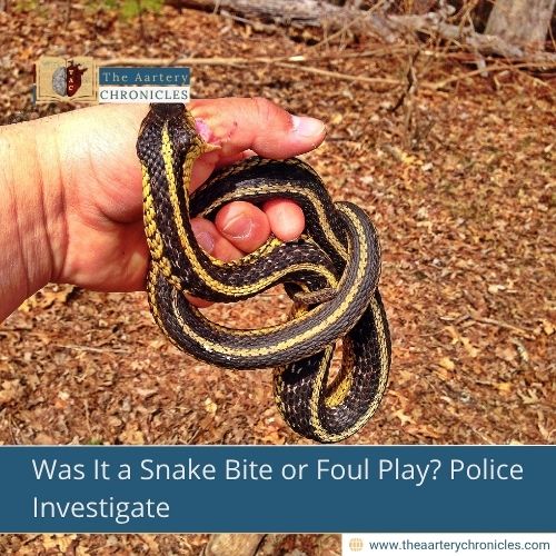 Was It a Snake Bite or Foul Play? Police Investigate