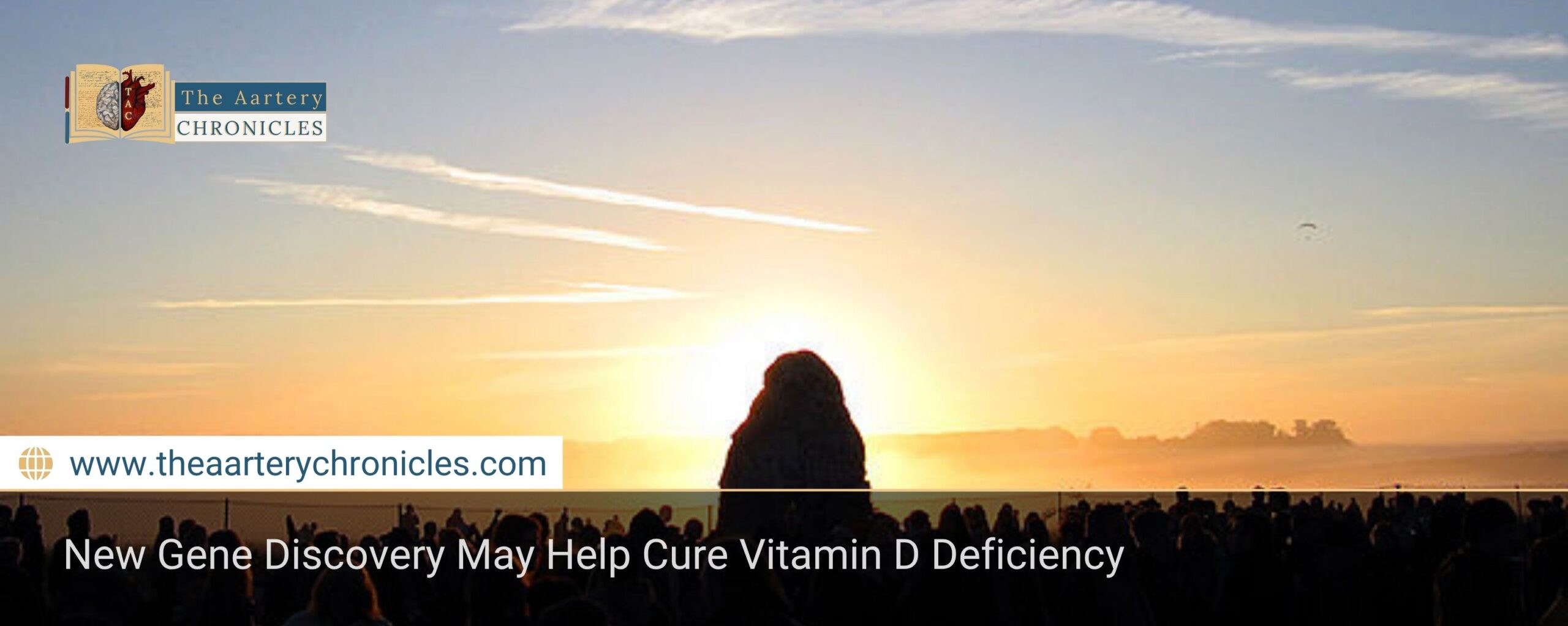 New Gene Discovery May Help Cure Vitamin D Deficiency