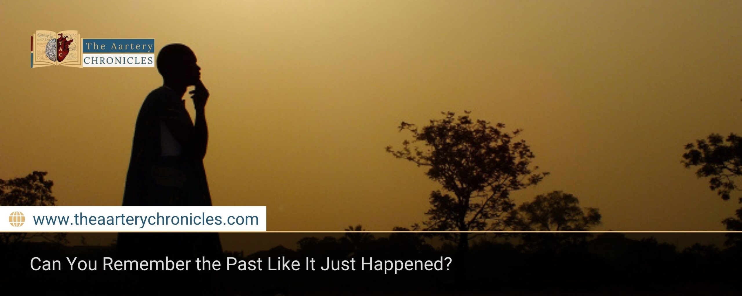 Can You Remember the Past Like It Just Happened?