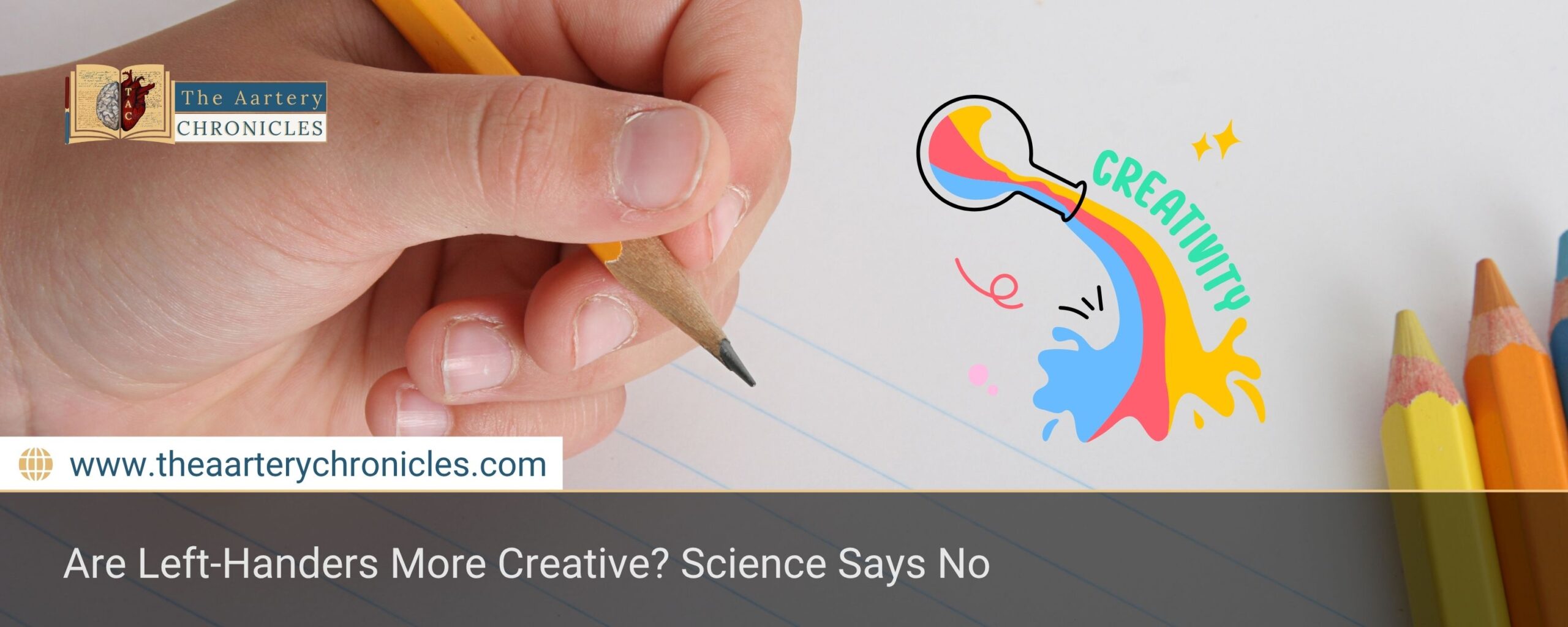 are-left-handers-more-creative-science-says-no-the-aartery-chronicles-tac
