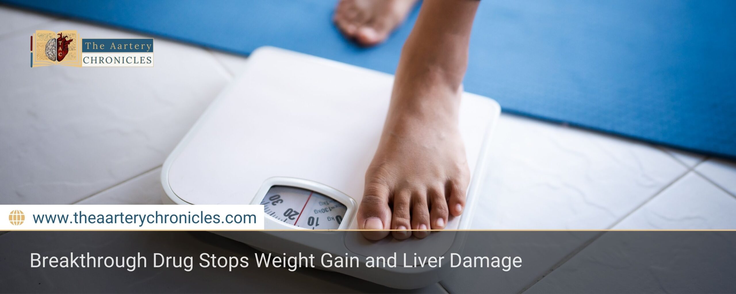 breakthrough-drug-stops-weight-gain-and-liver-damage-the-aartery-chronicles-tac