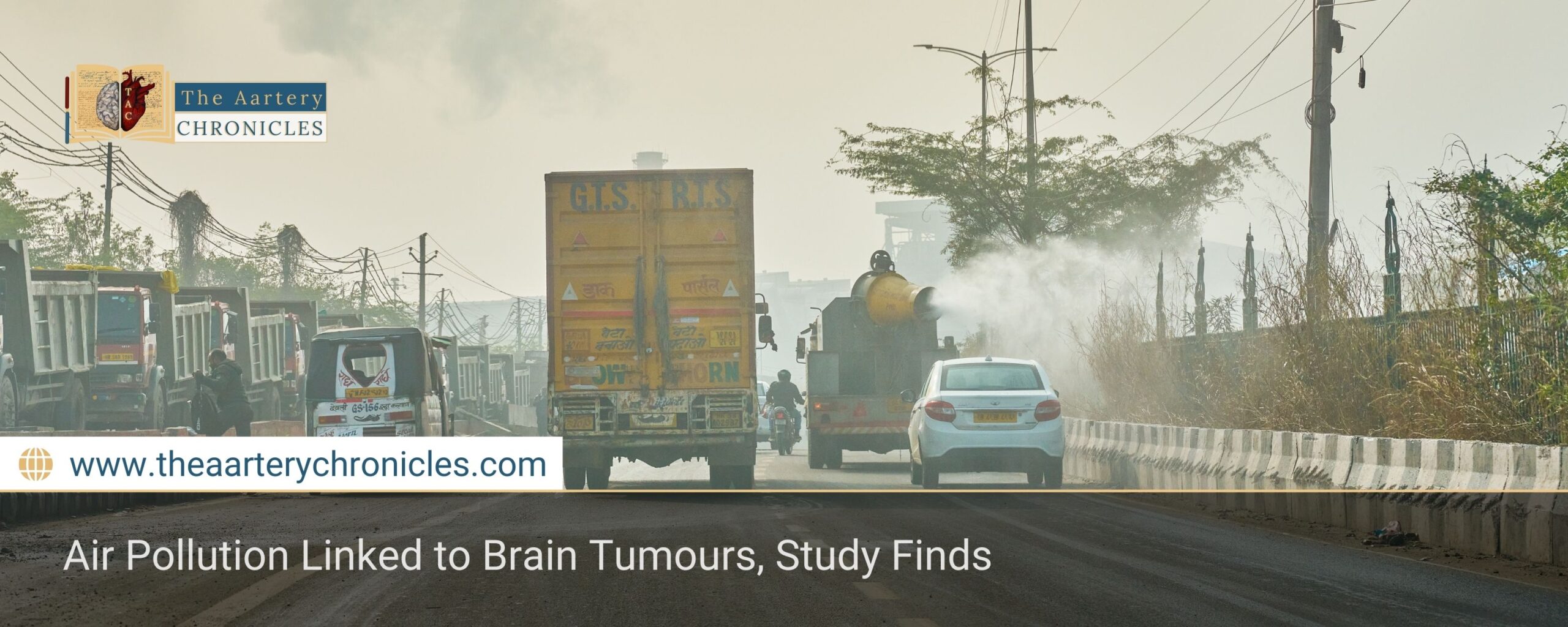 can-dirty-air-harm-your-brain-too-scientists-say-yes-the-aartery-chronicles-tac