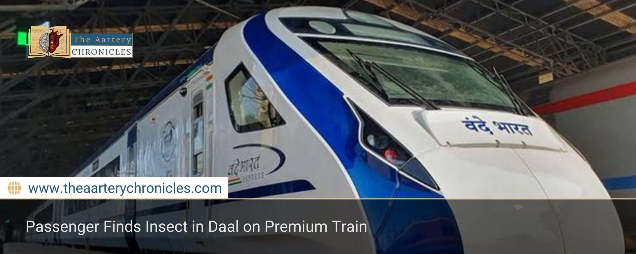 Passenger Finds Insect in Daal on Premium Train
