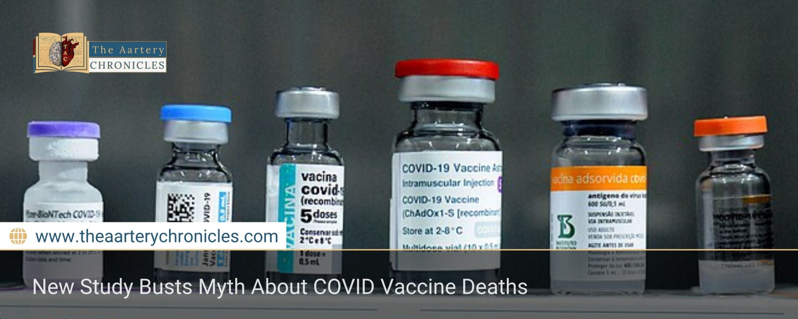 New Study Busts Myth About COVID Vaccine Deaths