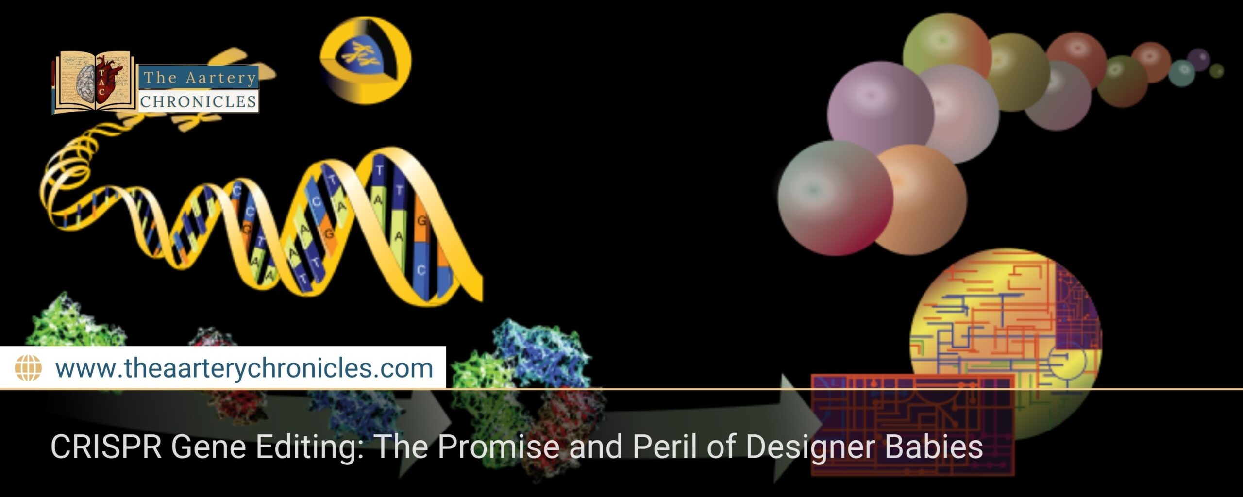 CRISPR-Gene-Editing:-The-Promise-and-Peril-of-Designer-Babies-The-Aartery-Chronicles-TAC