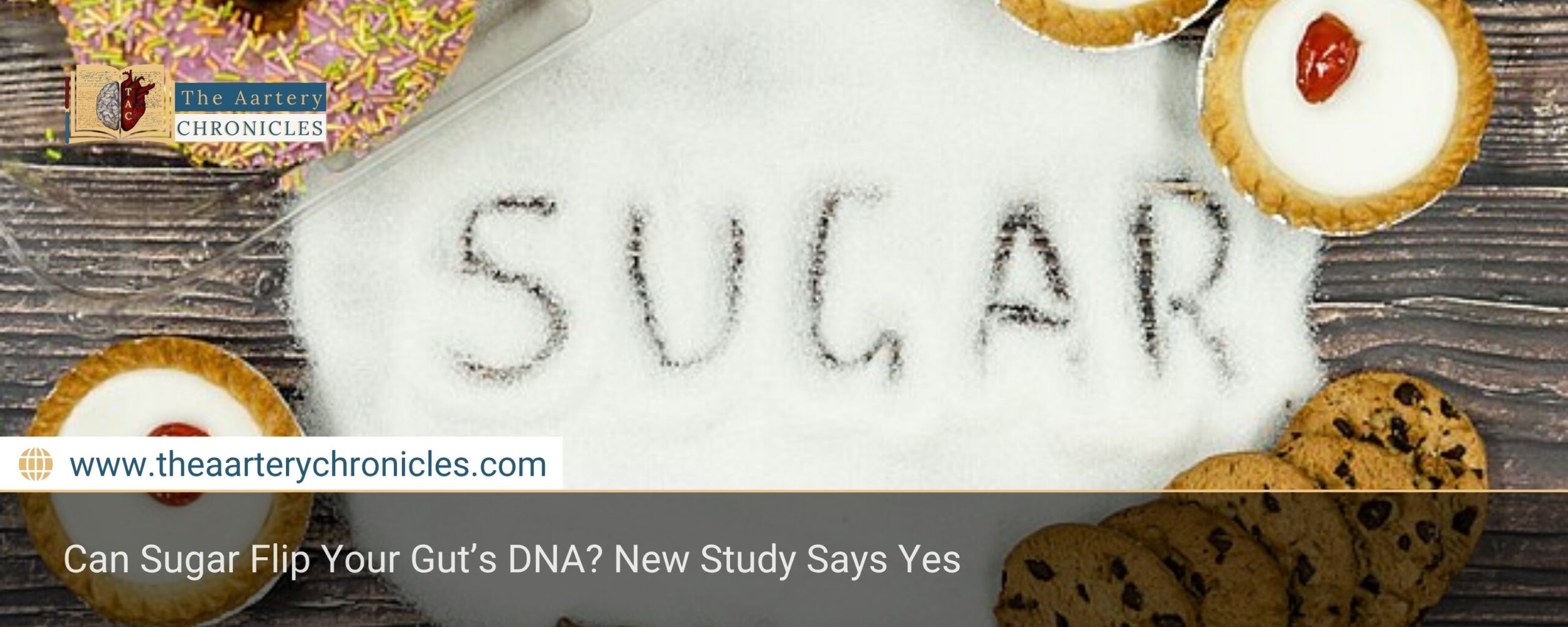 Can Sugar Flip Your Gut’s DNA? New Study Says Yes