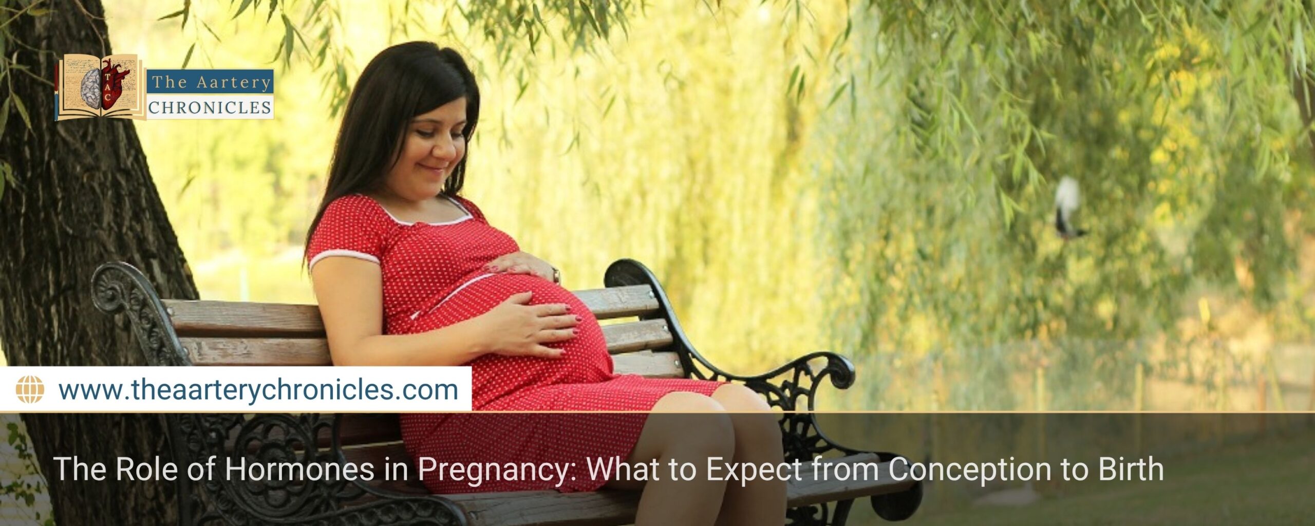 The-Role-of-Hormones-in-Pregnancy:-What-to-Expect-from-Conception-to-Birth-The-Aartery-Chronicles-TAC