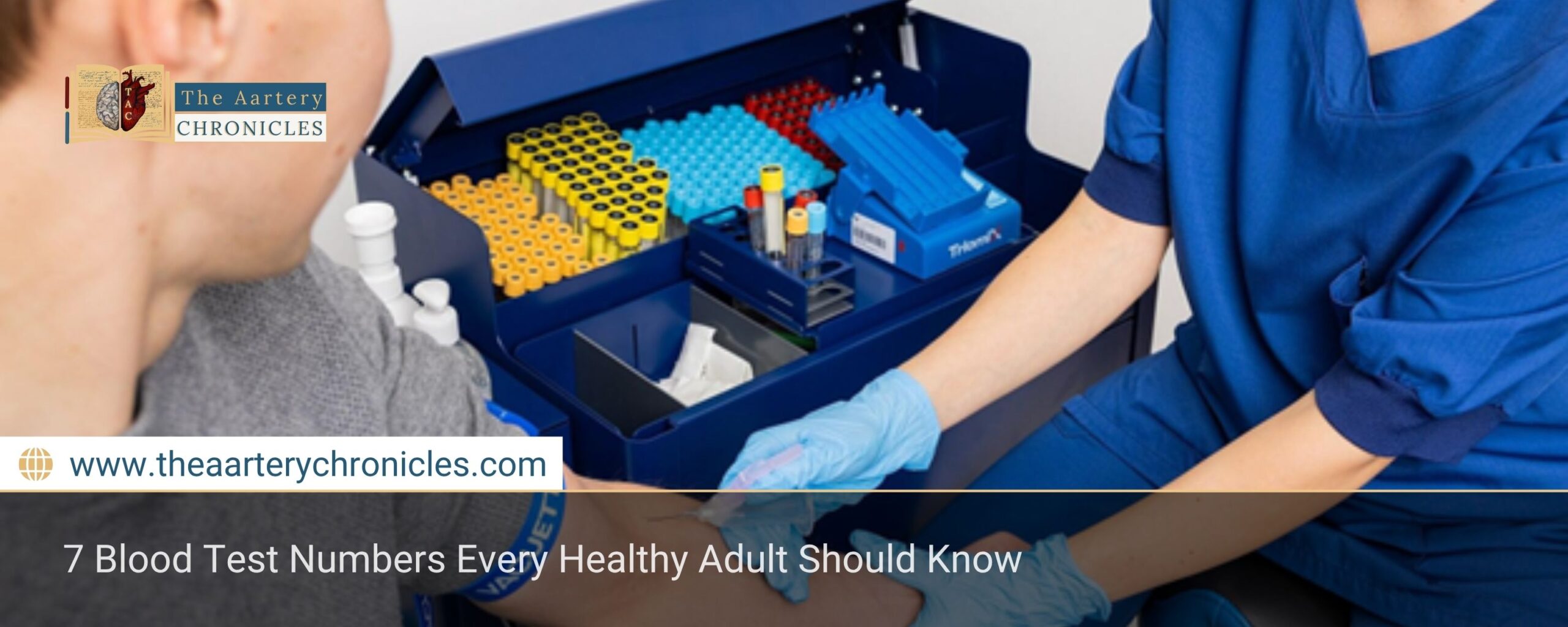 7-Blood-Test-Numbers-Every-Healthy-Adult-Should-Know-The-Aartery-Chronicles-TAC