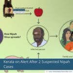 Kerala on Alert After 2 Suspected Nipah Cases