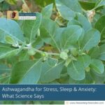 ashwagandha-for-stress-sleep-anxiety-what-you-need-to-know-the-aartery-chronicles-tac