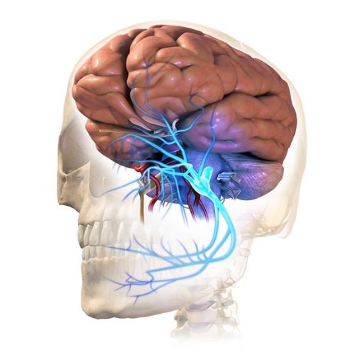 salman-khan-and-rare-brain-conditions-everything-you-need-to-know-the-aartery-chronicles-tac