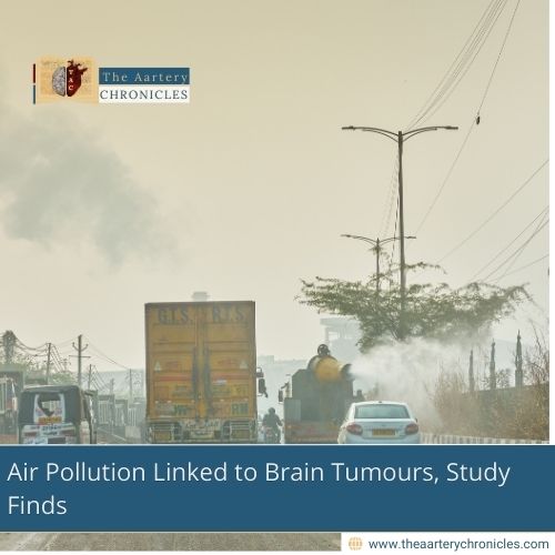 can-dirty-air-harm-your-brain-too-scientists-say-yes-the-aartery-chronicles-tac