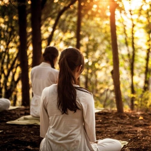 6-everyday-habits-that-strengthen-your-heart-naturally-the-aartery-chronicles-tac