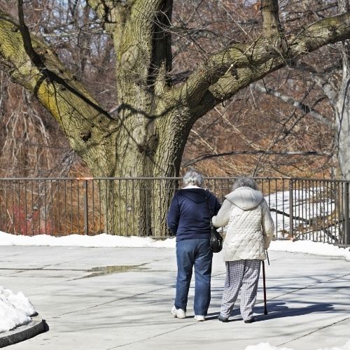 5-natural-ways-to-prevent-osteoporosis-before-it-starts-the-aartery-chronicles-tac