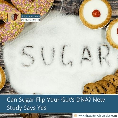 Can Sugar Flip Your Gut’s DNA? New Study Says Yes
