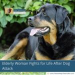 Elderly Woman Fights for Life After Dog Attack