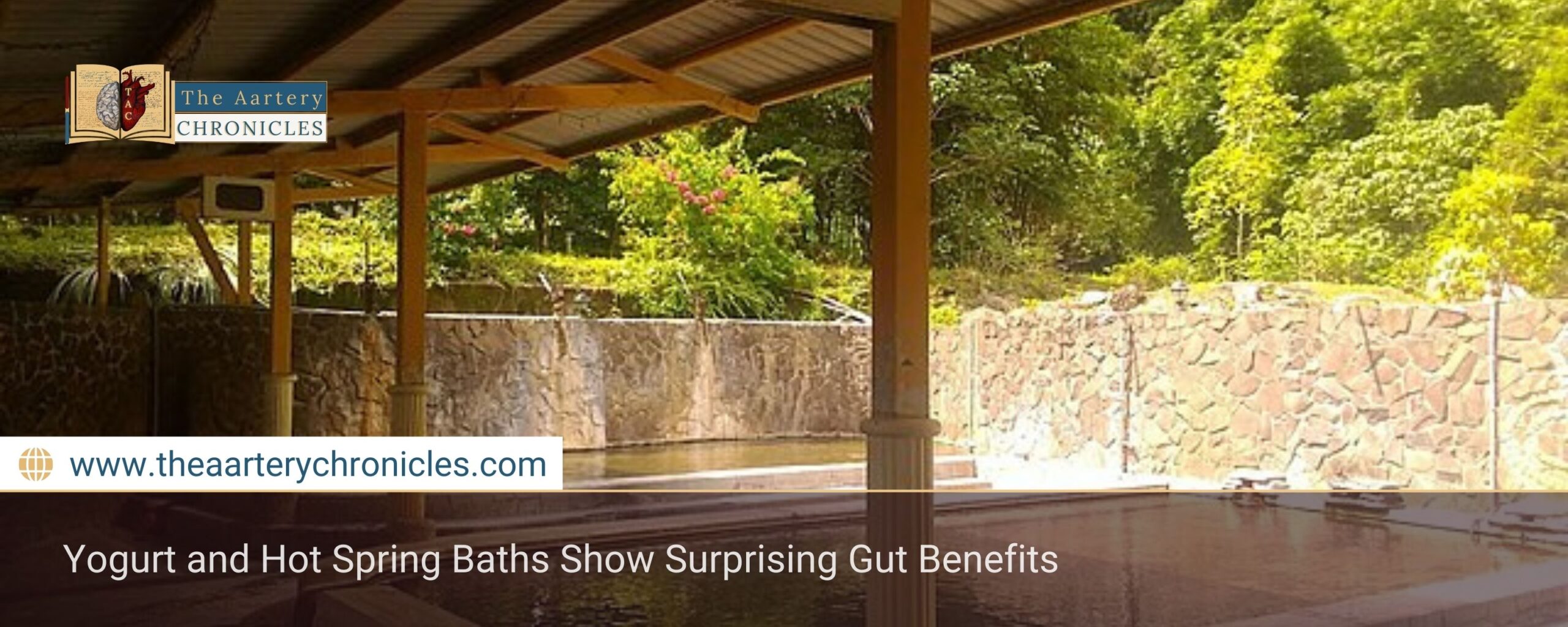 Yogurt and Hot Spring Baths Show Surprising Gut Benefits
