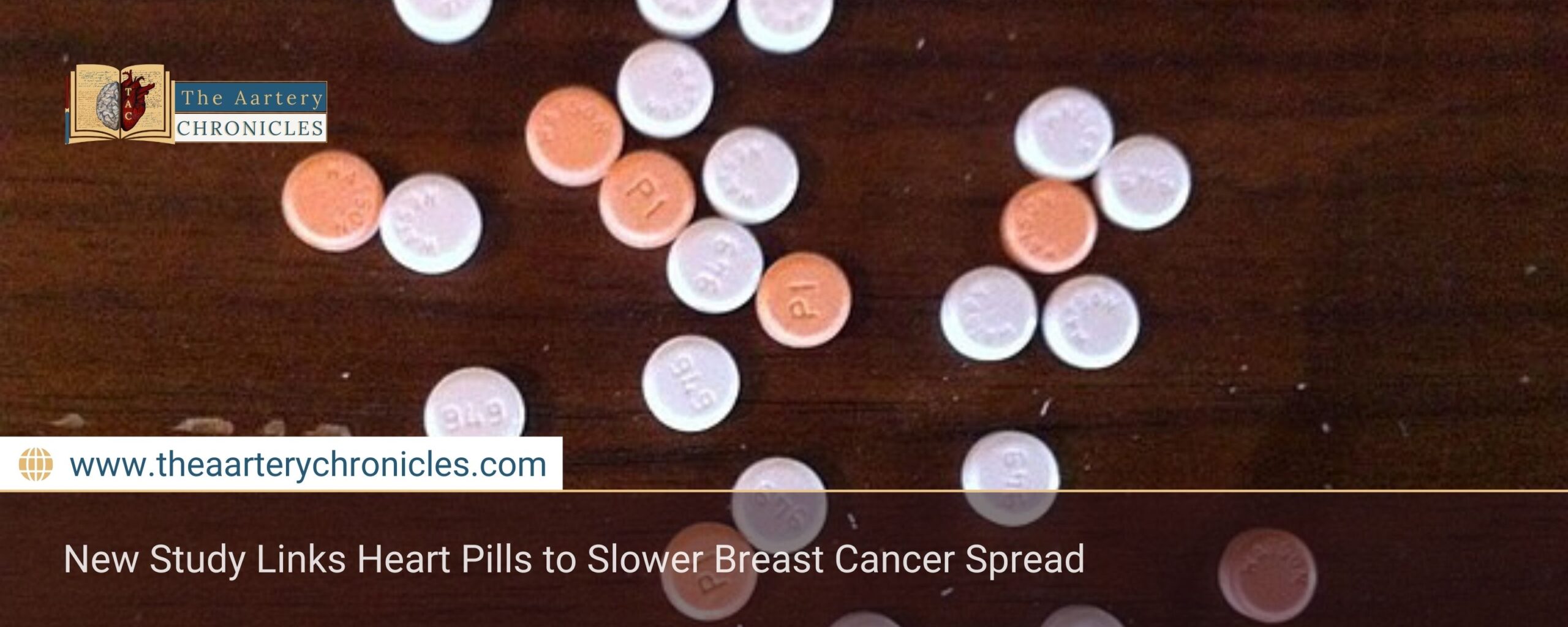 New Study Links Heart Pills to Slower Breast Cancer Spread