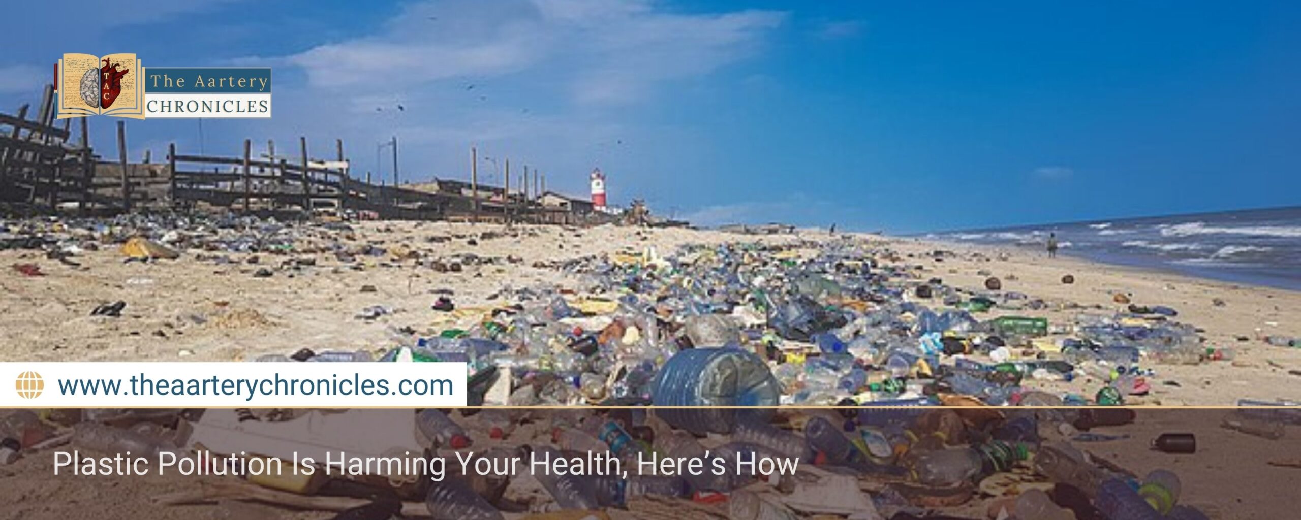 Plastic Pollution Is Harming Your Health, Here’s How