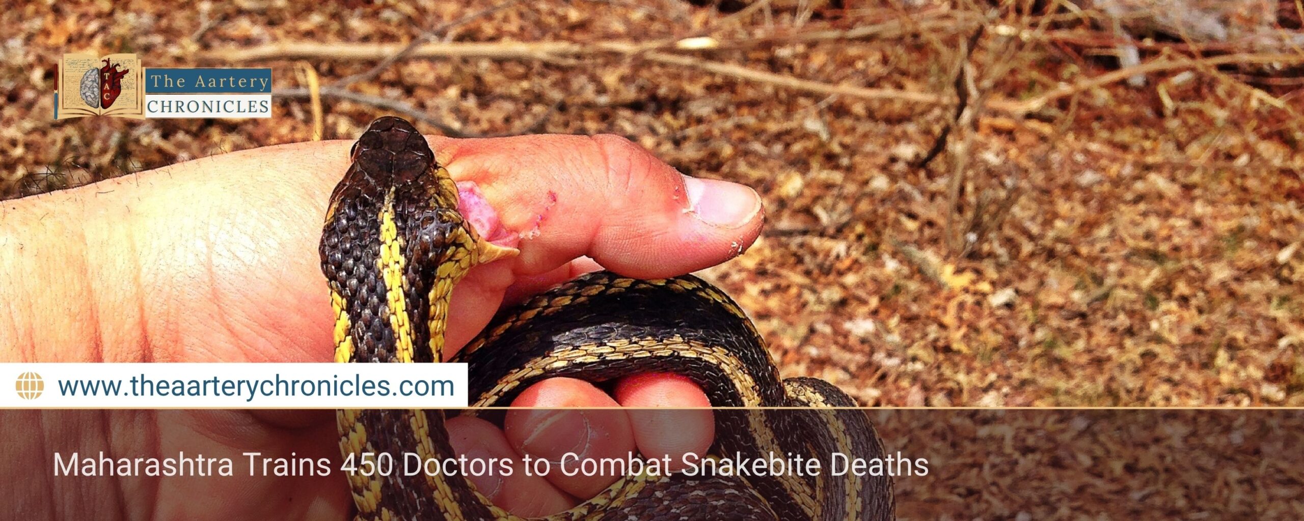 snakebite-fatalities-surge-in-tribal-india-whats-behind-the-rise