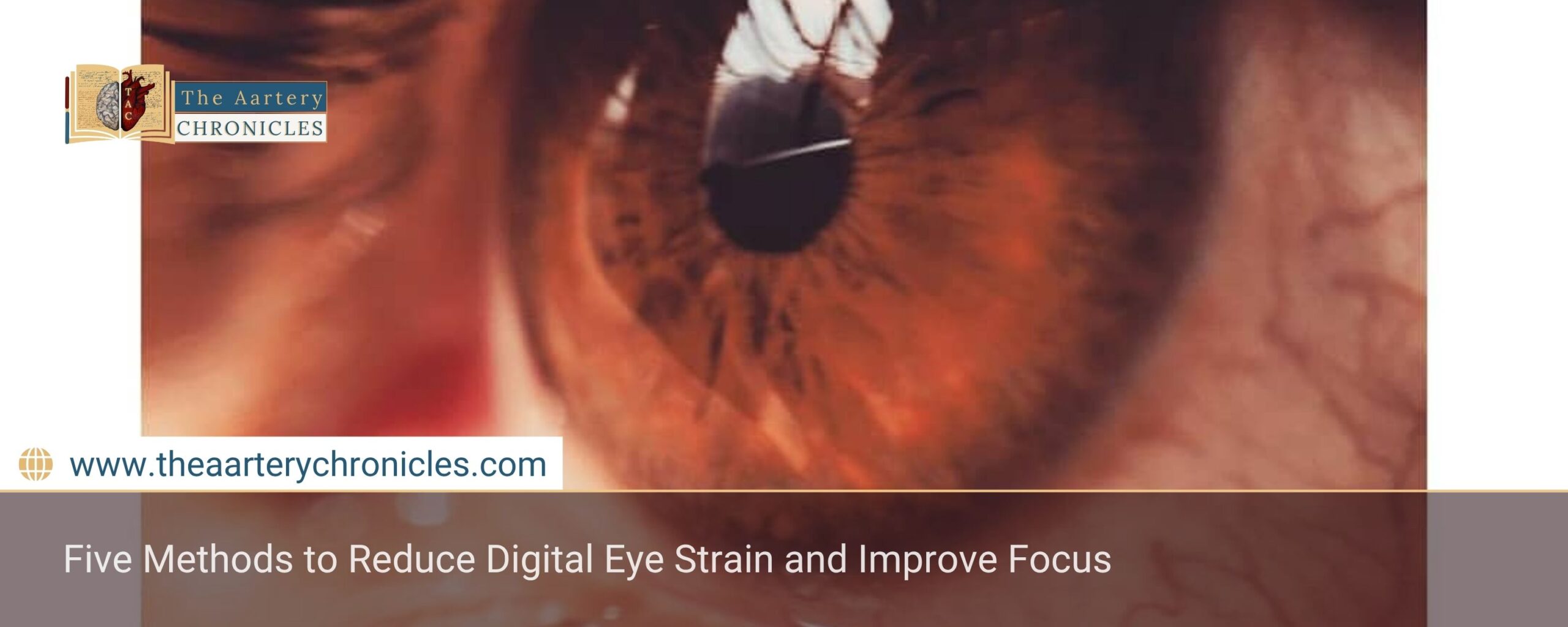 Five-Methods-to-Reduce-Digital-Eye-Strain-and-Improve-Focus-The-Aartery-Chronicles-TAC