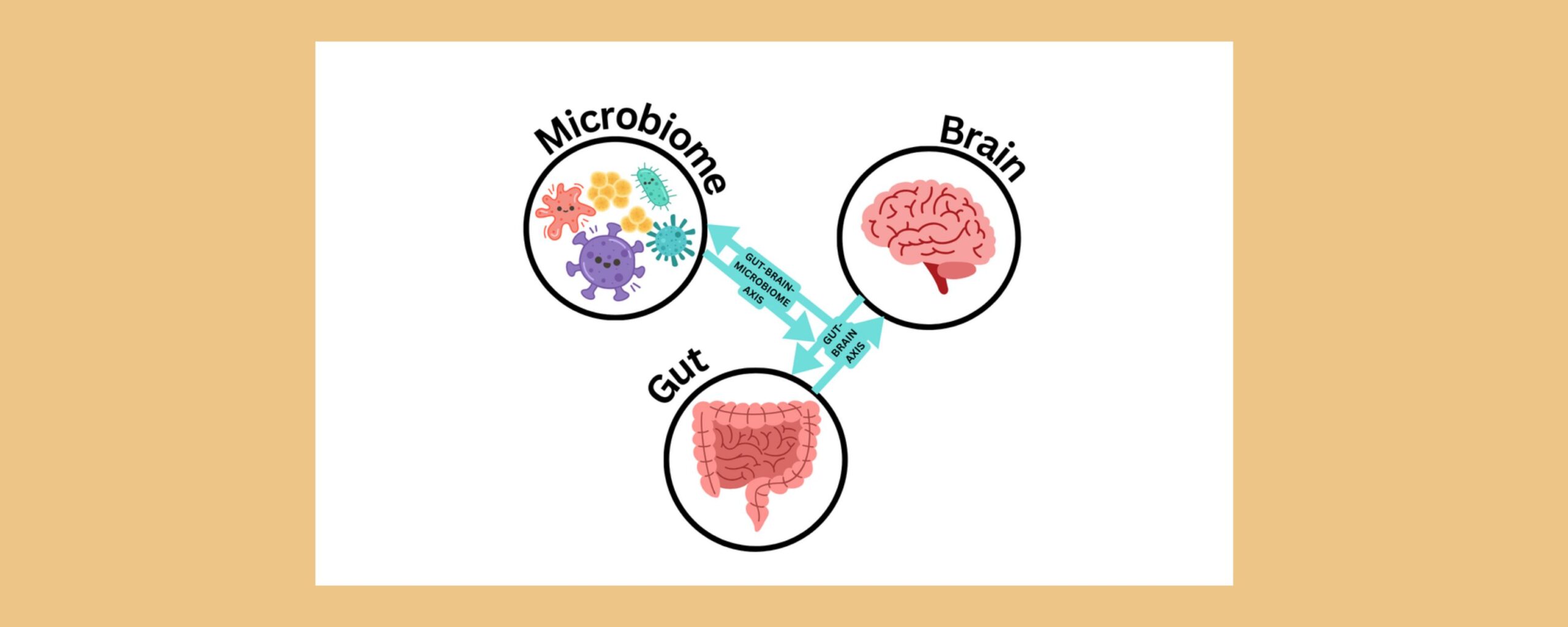 From-Gut-to-Mind:-Rethinking-Health-in-Primary-Care-The-Aartery-Chronicles-TAC