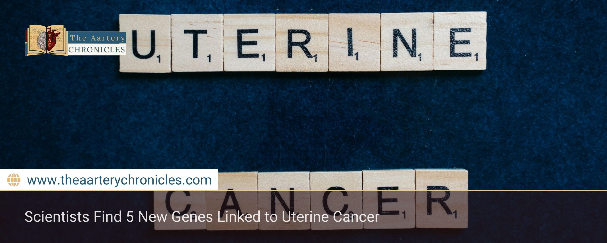 Scientists Find 5 New Genes Linked to Uterine Cancer