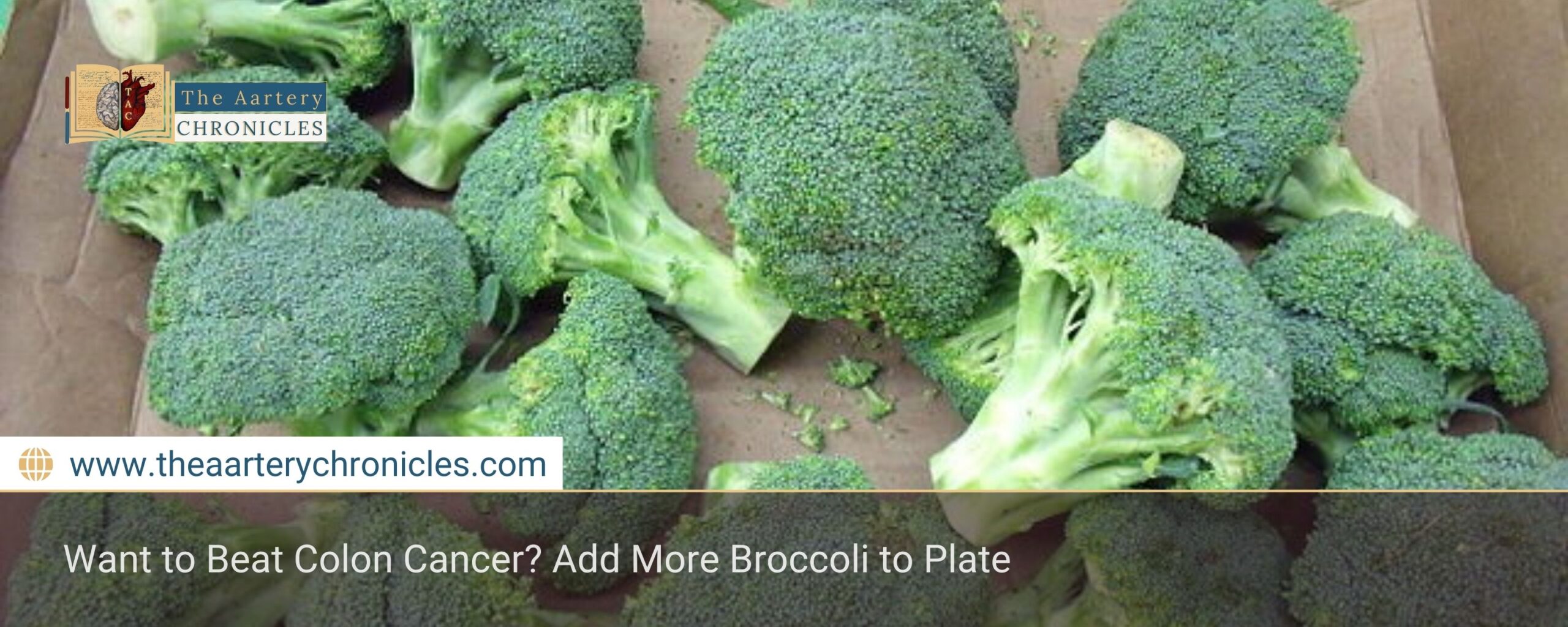 Want to Beat Colon Cancer? Add More Broccoli to Plate