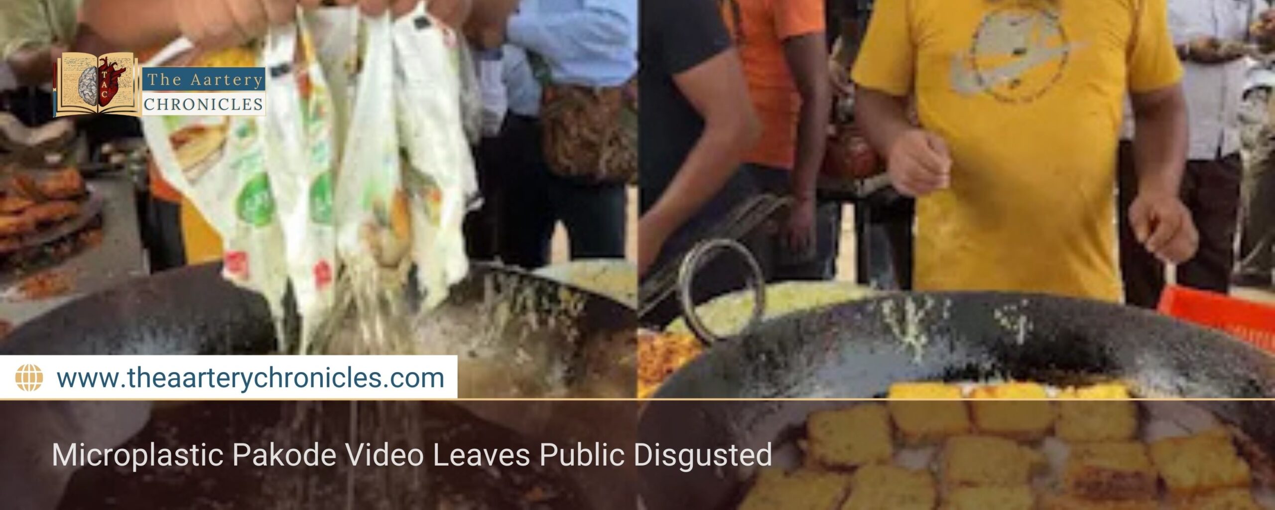 Microplastic Pakode Video Leaves Public Disgusted
