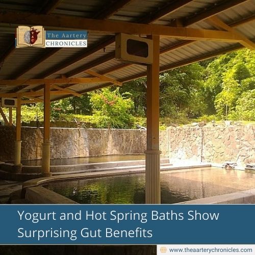 Yogurt and Hot Spring Baths Show Surprising Gut Benefits