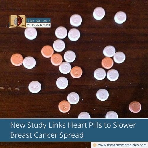 New Study Links Heart Pills to Slower Breast Cancer Spread