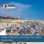 Plastic Pollution Is Harming Your Health, Here’s How