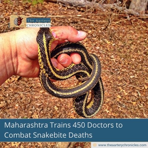 snakebite-fatalities-surge-in-tribal-india-whats-behind-the-rise