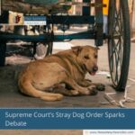 sc-orders-stray-dog-relocation-what-it-means-the-aartery-chronicles-tac