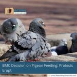 BMC-Decision-on-Pigeon-Feeding:-Protests-Erupt-The-Aartery-Chronicles-TAC